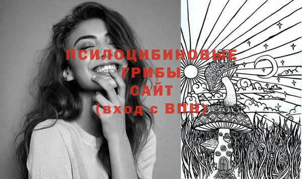 не бодяженный Аркадак